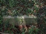 image of grave number 946805